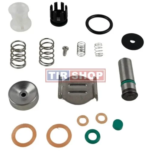 Set reparatie supapa cutie | 1068951, 1652731, 1653076, 1669278, 1669297